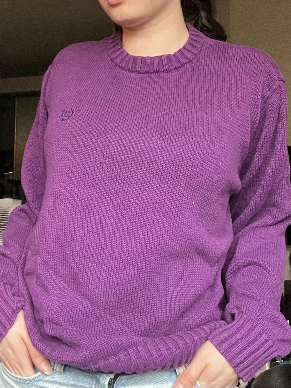 Polo Ralph Lauren Violet Crewneck Knit Sweater